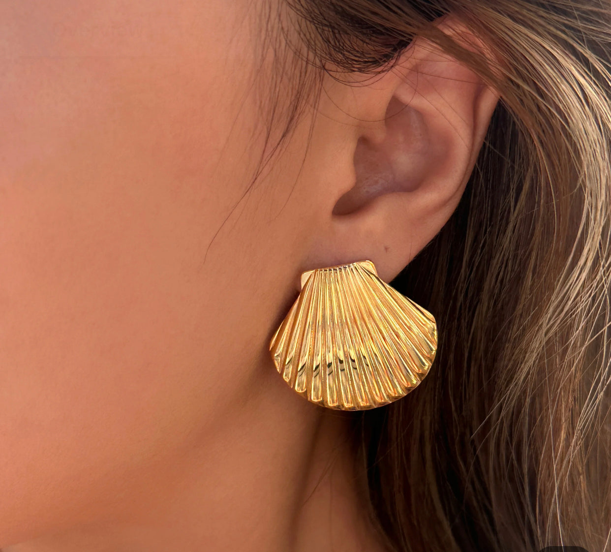 Earrings - 18k Gold Plated Hypoallergenic Shell